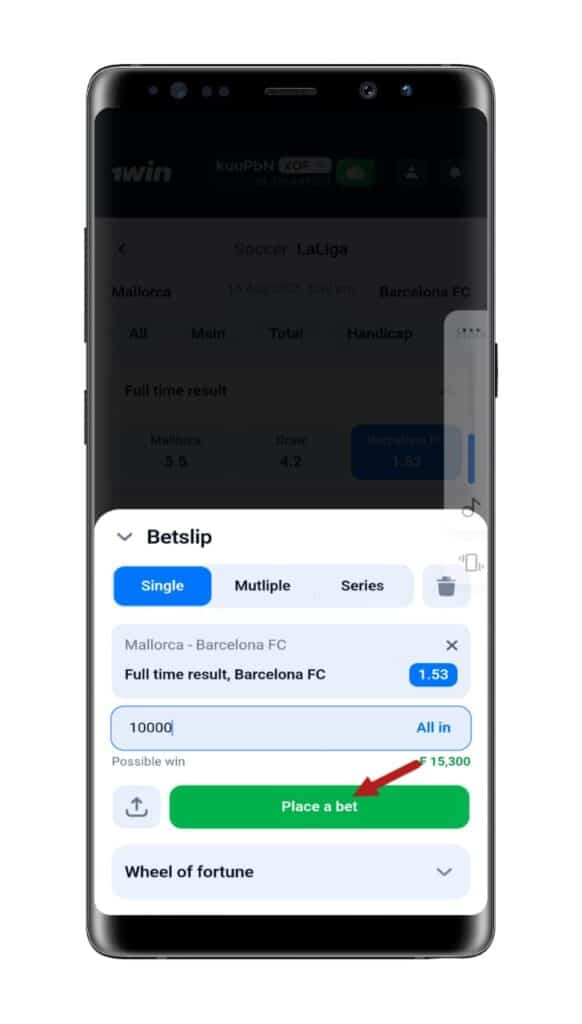 Confirm and place your bet